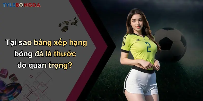 Bảng Xếp Hạng Bóng Đá: Cập Nhật Phong Độ Và Phân Tích Tỷ Lệ Chuẩn 1 Tại sao bảng xếp hạng bóng đá là thước đo quan trọng?