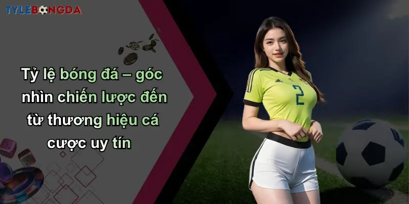 Tỷ lệ bóng đá – góc nhìn chiến lược đến từ thương hiệu cá cược uy tín