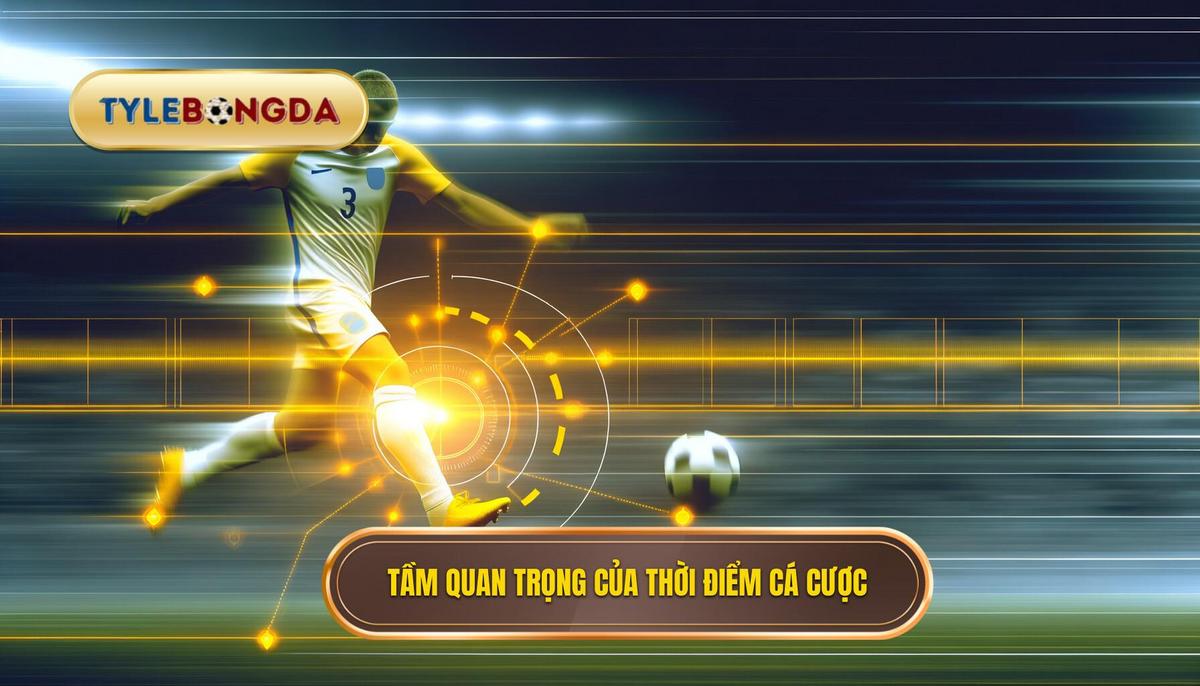  Vì sao thời điểm quan trọng trong cá cược_