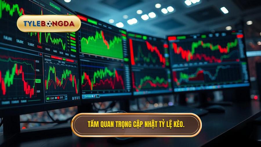 Tại sao việc cập nhật tỷ lệ kèo 24h lại quan trọng đến vậy?
